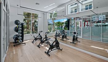 The home gym has a wall of windows and a wood floor